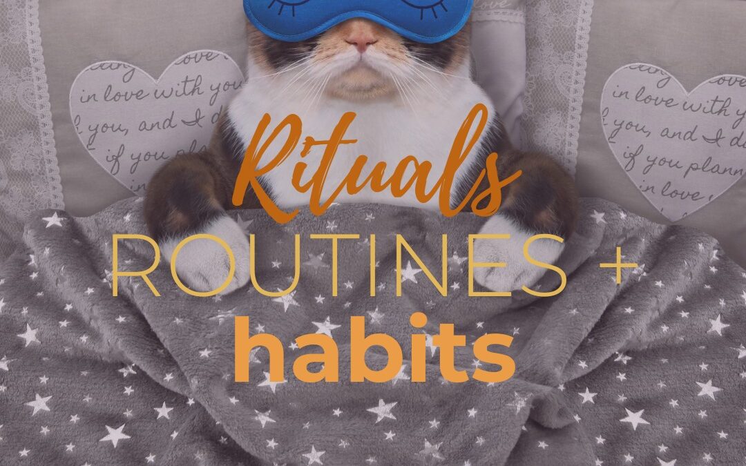 Habits, Routines + Rituals